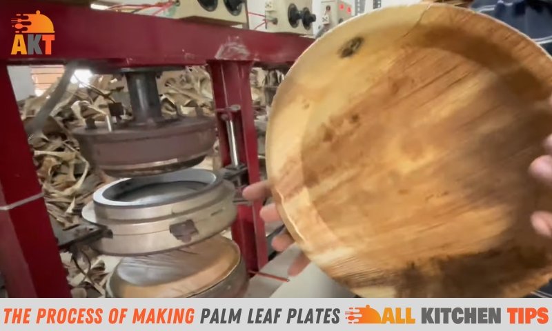 The Process Of Making Palm Leaf Plates