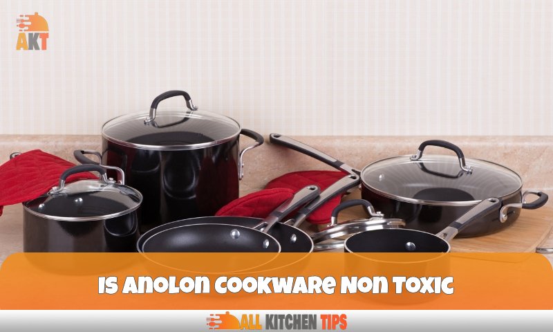 Is Anolon Cookware Non Toxic