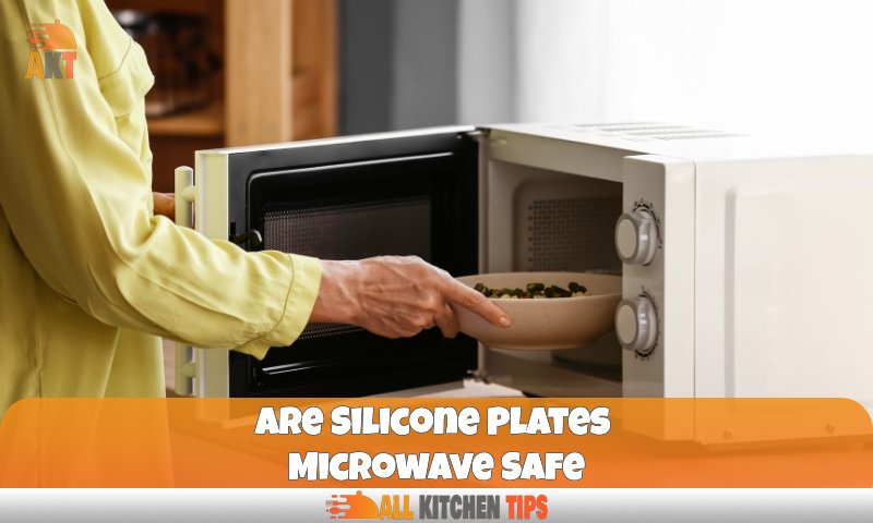 Are Silicone Plates Microwave Safe