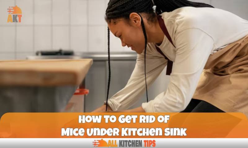 How to Get Rid of Mice Under Kitchen Sink