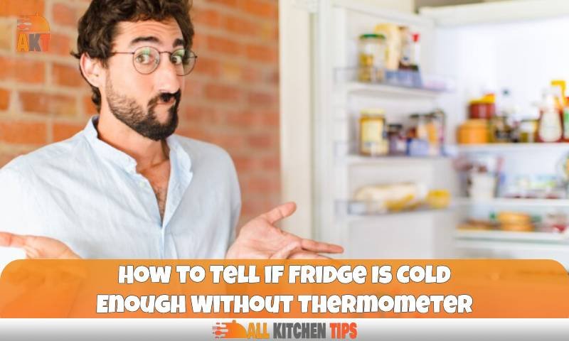 How to Tell if Fridge Is Cold Enough Without Thermometer