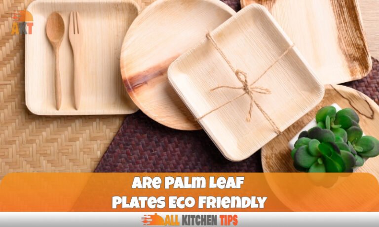 Hidden Environmental Impact of Palm Leaf Plates Eco Friendly